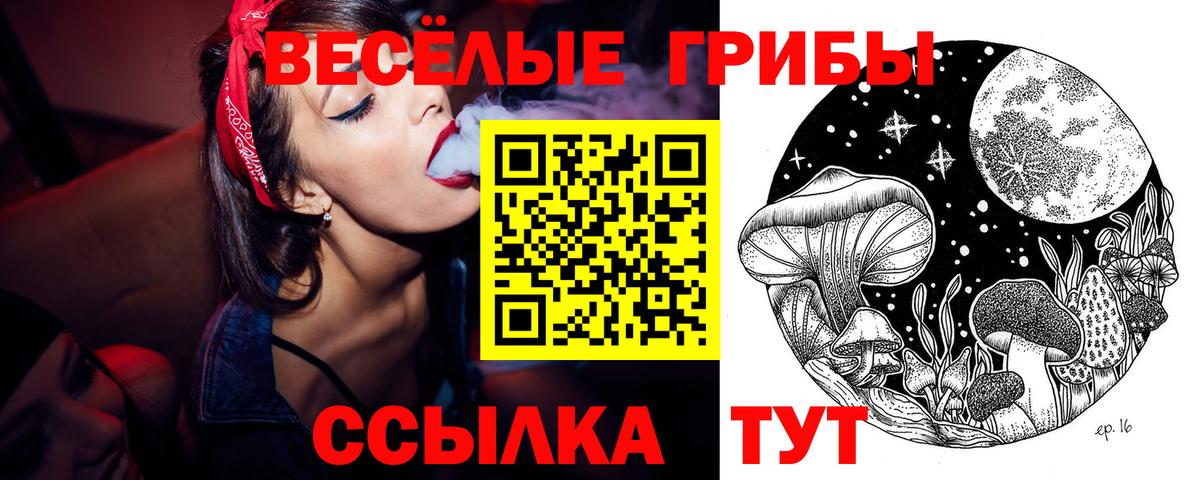 Псилоцибиновые грибы Magic Shrooms  Вход с VPN  Псилоцибиновые грибы Magic Shrooms  Родники 